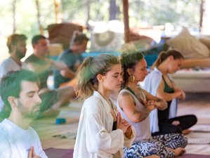 8 Day Chakra Journey with, Yoga, Meditation, Workshops, and Adventure in Ibiza
