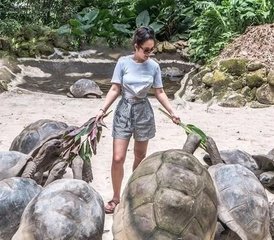 6 jours en retraite Retour à l’authentique : retraite de yoga dans les Galápagos, nature sauvage et soi authentique en Équateur - Photo 3