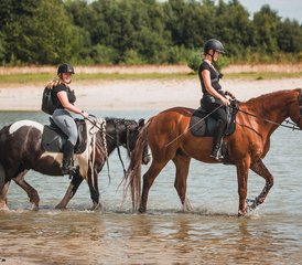 4-Daagse Paardrij- en Trailvakantie met Eigen Paard voor Groepen of Individuen in Wateren Nederland - Photo 2