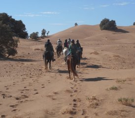 36 jours de randonnée équestre dans le désert au Maroc - Photo 1