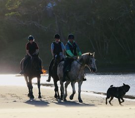 8 Tage Reiten mit Tom und Tori Horse and Heart Adventures an der Wild Coast, Südafrika - Photo 2
