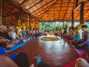 8 Day Wellness, Rain and Renewal Meditation and Yoga Retreat in Goa, India