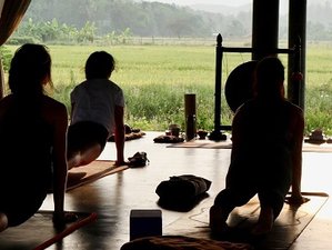 18 días de profesorado de yoga cuántico de 200 horas en Chiang Mai, Tailandia