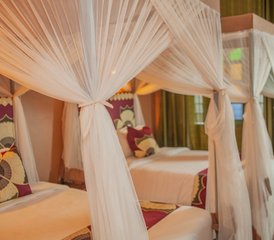 3 Day Tanzania Safari From Zanzibar: Explore Tarangire, Lake Manyara, and Ngorongoro Crater - Photo 4