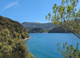 Picton Retreats & Trips