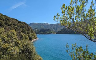 Picton Retreats und Reisen