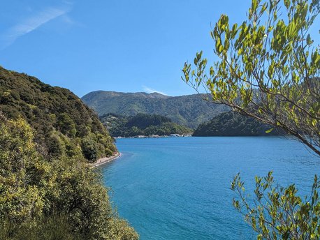 Picton