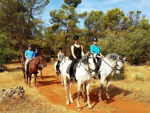 6 Tage Außergewöhnlicher Reiturlaub in Malaga, Andalusien, Spanien