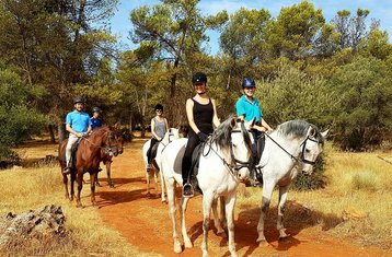 6 Tage Außergewöhnlicher Reiturlaub in Malaga, Andalusien, Spanien