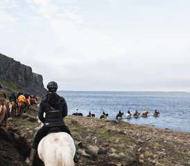 95 Day Trail of Hope (Summer) Horseback Riding Holiday in Vatnsdalur, Iceland - Photo 1