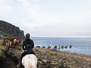 5 Day Trail of Hope (Summer) Horseback Riding Holiday in Vatnsdalur, Iceland