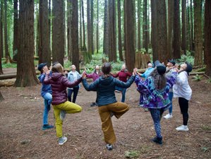 19 Day 200-Hour Therapeutic Yoga Teacher Training Course in Arcata, California, USA