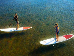 5 Day Refreshing and Invigorating SUP Surf Camp in Brisbane, Queensland, in Australia