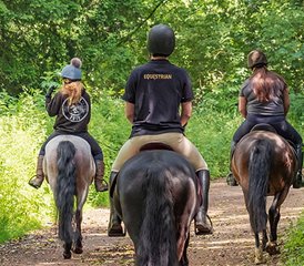 115 jours anglais et équitation en South Oxfordshire, Royaume‑Uni - Photo 1