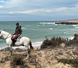 2 Day Into the Wild Horse Riding Holiday: Trail along the Atlantic Coast of Sidi Kaouki, Morocco - Photo 2
