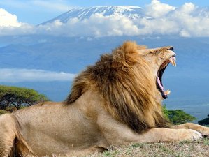 3 Day Amboseli and Tsavo East Safari in Kenya