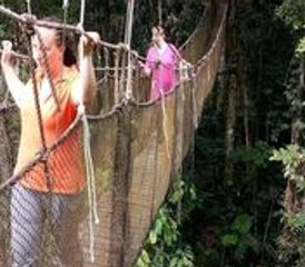 6 días de la mejor experiencia privada de fauna salvaje en la Amazonía peruana en Iquitos, provincia de Maynas, Perú - Photo 2