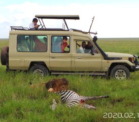 37 jours en safari privé impressionnant en Tanzanie - Photo 1