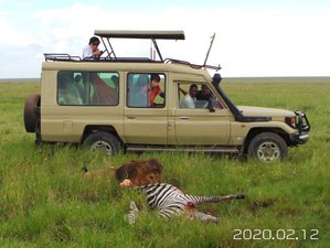 7 días de safari de los Cinco Grandes en Tanzania