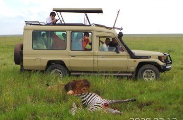 7 Tage Eindrucksvolle Private Safari in Tansania
