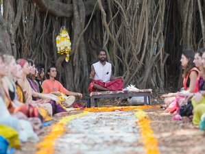 6 Day 50-Hour Aerial Arts Teacher Training in Goa, India