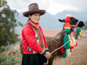 9 días de retiro espiritual y expansión chamánica en el Valle Sagrado de Perú, Perú