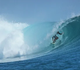 8 Day One Package Fits All Yoga and Surf Camp for All Levels in Weligama Bay, Sri Lanka