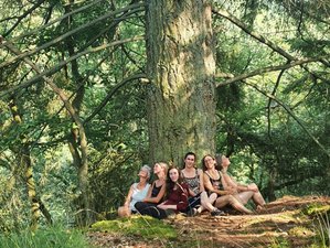 3-Daagse Natuur en Meditatie Zijnsweekend in het Bos in de Ardennen