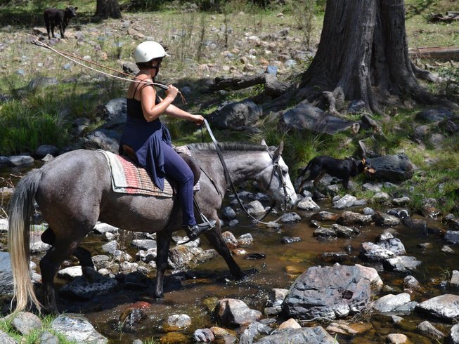 5 Days Full Ranch Experience and Horsemanship Training in Mulla Creek, NSW, Australia