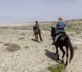 8 jours de randonnée équestre sur le sentier de la côte atlantique au Maroc - Photo 4
