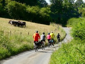 8 Day Countryside to Capital Self-Guided Cycling Tour in The UK