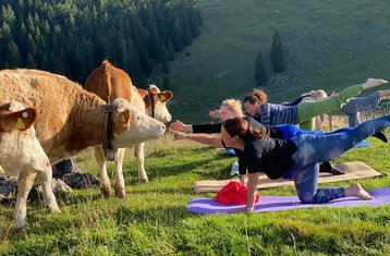2 Tage Yoga und Wandern in den Bergen, Bayern, Deutschland