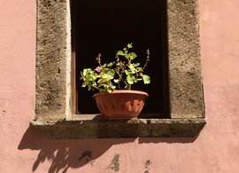 Frosinone Retreats & Trips