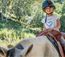 7 jours séjour familial tout compris horsemanship naturel et yoga à Tucurrique, Costa Rica - Photo 3