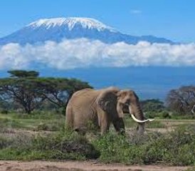 7 jours explorez le cœur de la Tanzanie: safari dans le Serengeti, Tarangire et le cratère du Ngorongoro - Photo 4