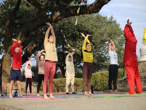 26 Tage 200-Stunden Transformative Multi Style Yogalehrer Ausbildung in Kathmandu, ‎‎Nepal