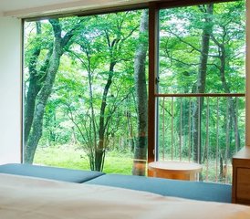 4 Tage Fünf-Elemente-Waldyoga Retreat in Hakone, Japan - Photo 3