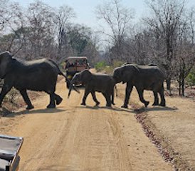 5 Tage Mini Zentral- bis Süd-Safari in Malawi - Photo 2