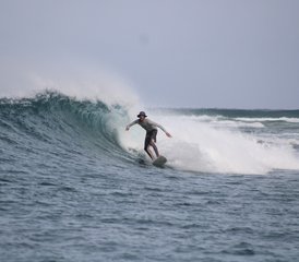 7 Day Mikado (Farms) and Finimas All-Level Surf Camp in Thimarafushi, Thaa Central Atolls, Maldives - Photo 4