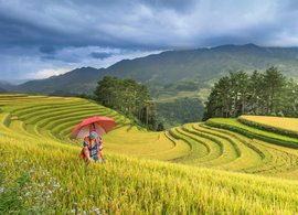 Lao Cai Province Retreats & Trips