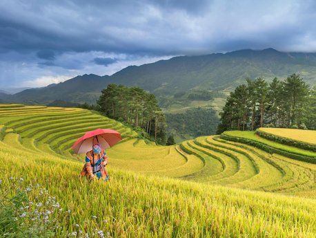 Lao Cai Province