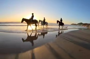 8 Day Horse Riding Holiday - Tom and Tori Horse and Heart Adventures in South Africa