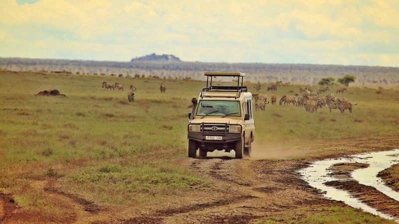 6 días de safari, cultura y senderismo en Tanzania