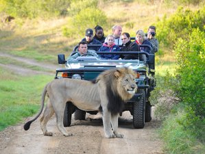 6 Days Wildebeest Migration Kenya Safari 
