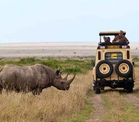 115-Daagse Luxueuze Safari in Amboseli National Park en Lake Naivasha, Kenia - Photo 1