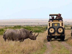 5 Day Amboseli National Park and Lake Naivasha Luxury Safari in Kenya