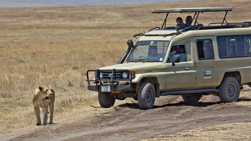 7 Tage Safari in Westtansania in den Nationalparks Katavi und Mahale Mountains