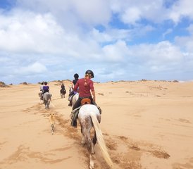 4 jours de découverte équestre à Sidi Kaouki, Maroc - Photo 3