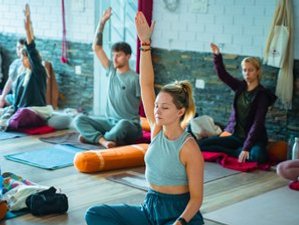 35 jours en formation de professeur de yoga vinyasa, ashtanga et hatha 500h à Rishikesh, Uttarakhand, Inde