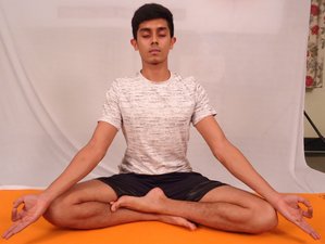 20-Day 200Hr Online High Intensive Hatha and Vinyasa Teacher Training with 30 Contact Hours